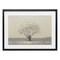Stupell Industries Neutral Radiance Tree Framed Print Under Glass, design by Michael Marcon
